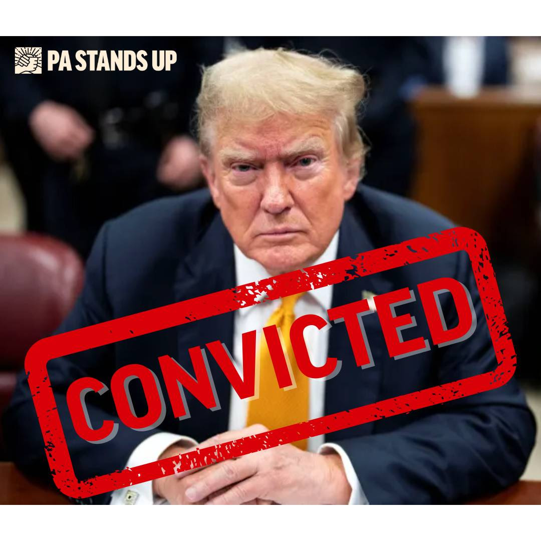 News You Can Use – Donald Trump is a Convicted Felon!